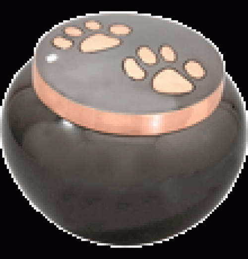 Copper Pawprints