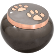 Copper Pawprints